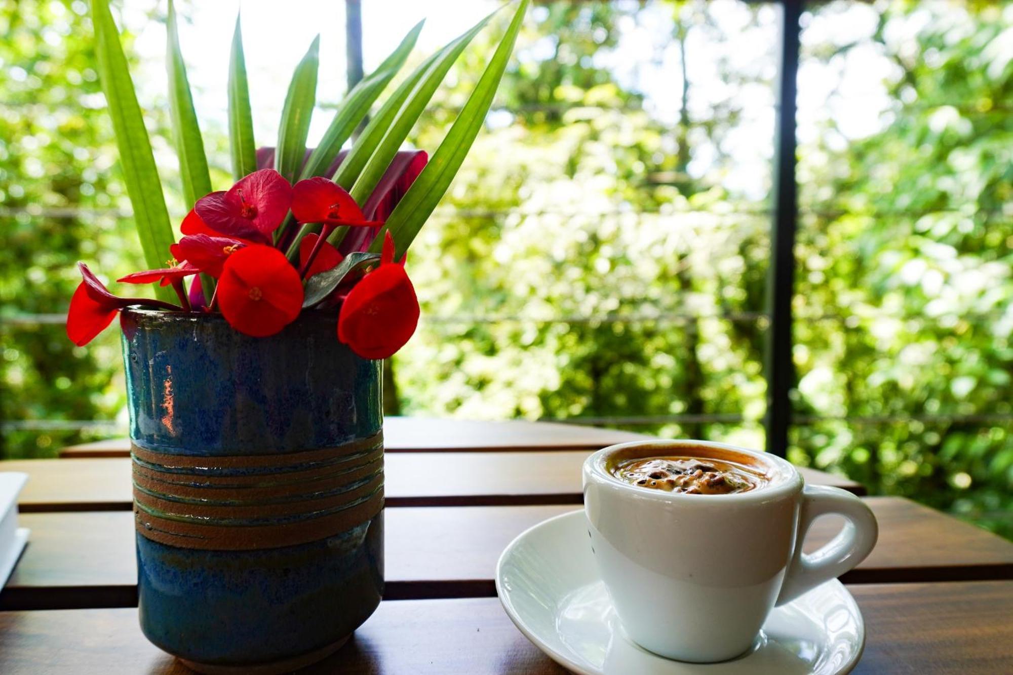 Sueno Rio Celeste Boutique B&B بيجاغوا المظهر الخارجي الصورة