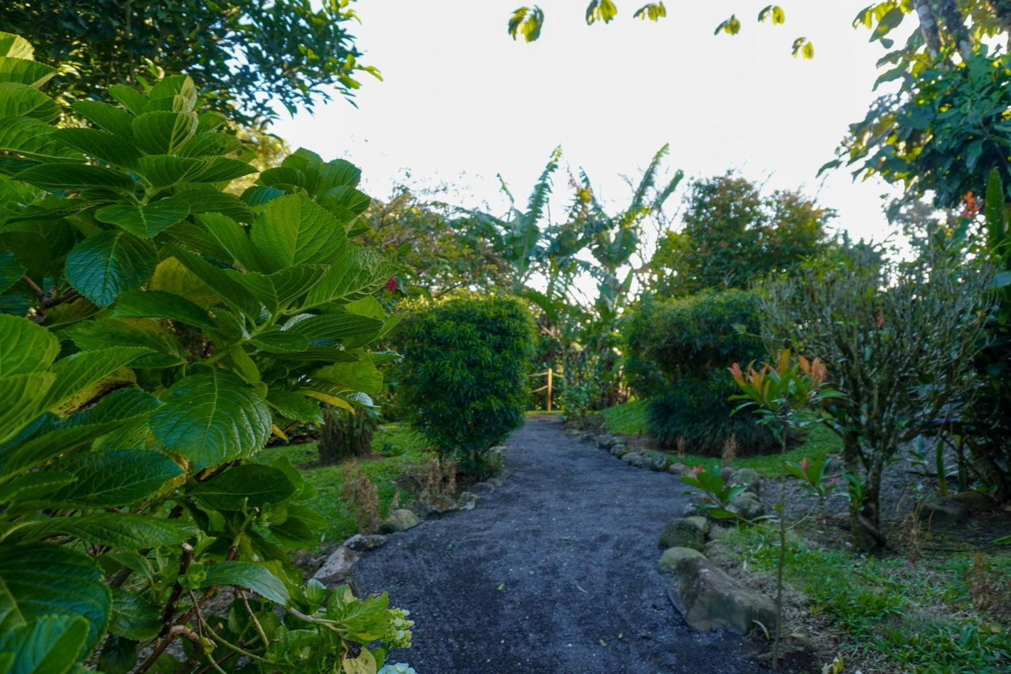 Sueno Rio Celeste Boutique B&B بيجاغوا المظهر الخارجي الصورة