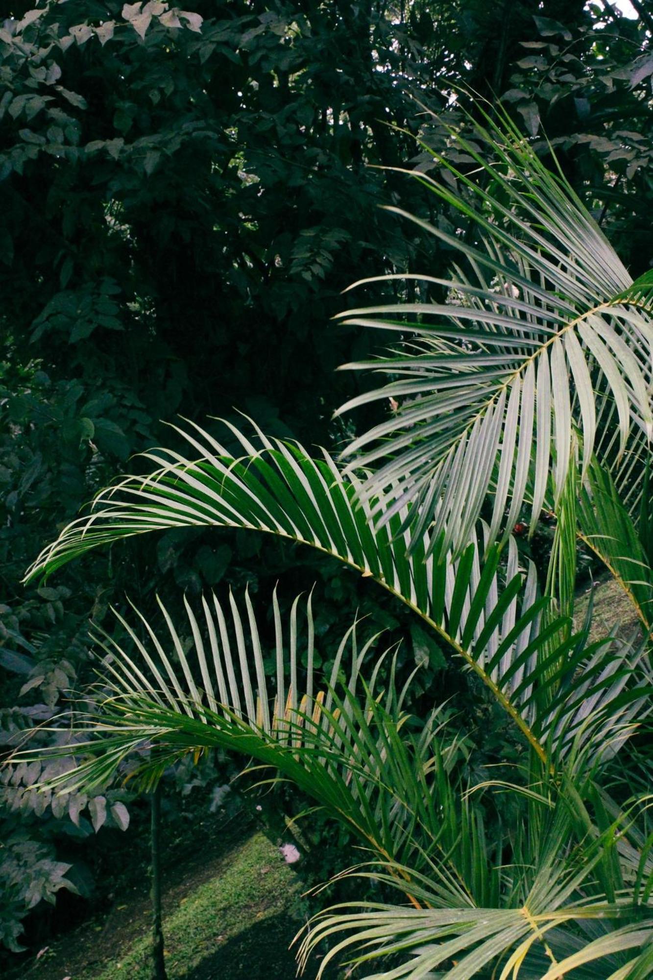 Sueno Rio Celeste Boutique B&B بيجاغوا المظهر الخارجي الصورة