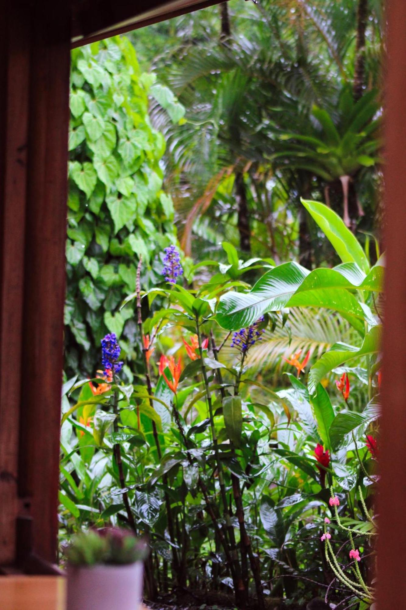 Sueno Rio Celeste Boutique B&B بيجاغوا المظهر الخارجي الصورة