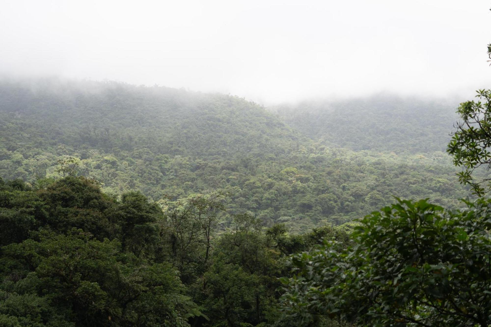 Sueno Rio Celeste Boutique B&B بيجاغوا المظهر الخارجي الصورة